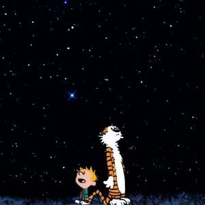 Meet your Posher, Peyton